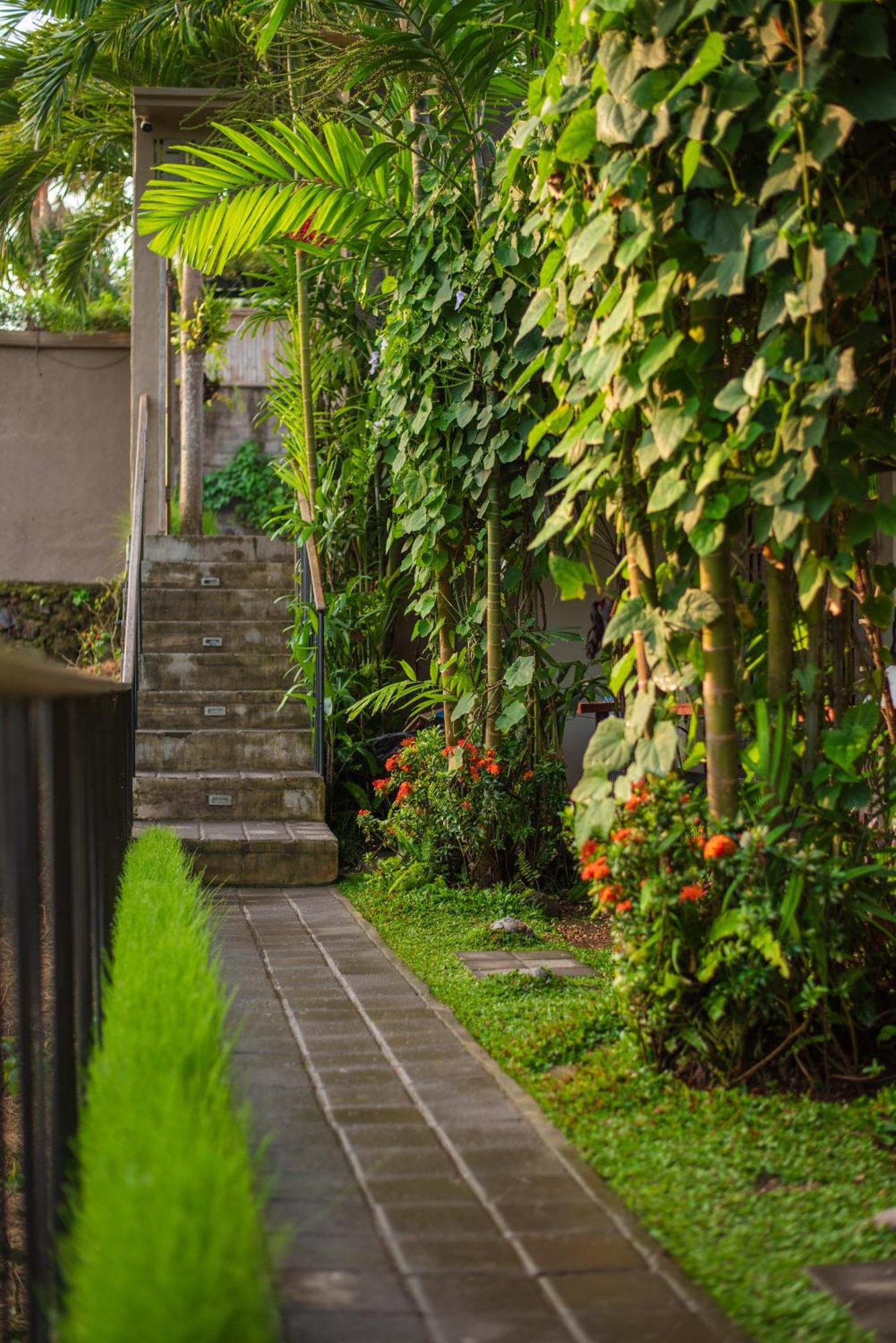 Pangkung Sari Bed And Breakfast Чангу Екстер'єр фото