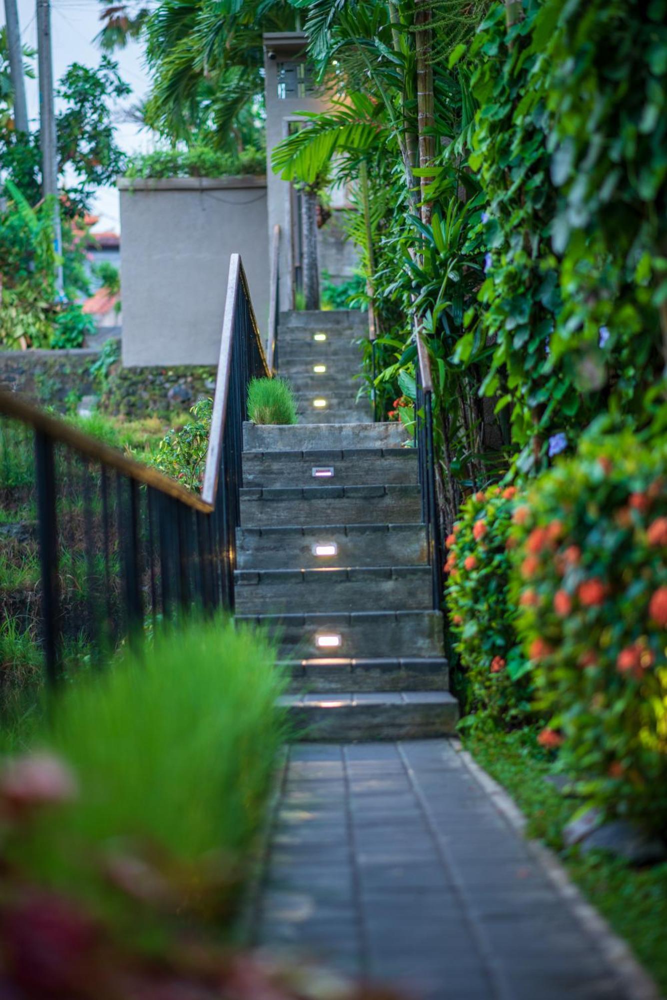 Pangkung Sari Bed And Breakfast Чангу Екстер'єр фото
