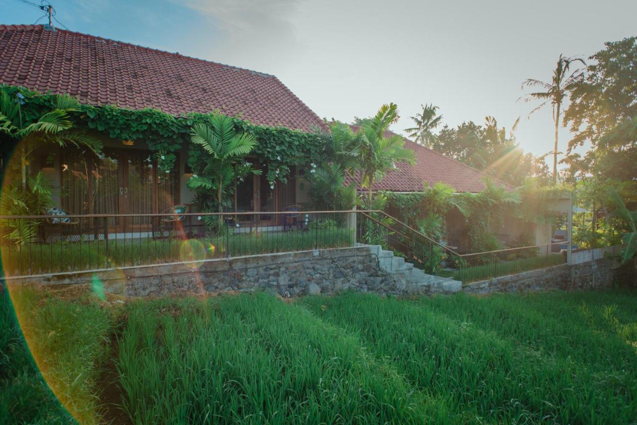 Pangkung Sari Bed And Breakfast Чангу Екстер'єр фото