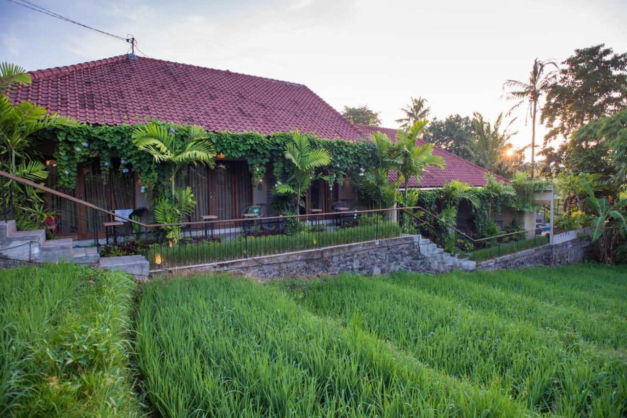 Pangkung Sari Bed And Breakfast Чангу Екстер'єр фото