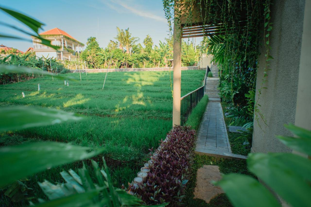 Pangkung Sari Bed And Breakfast Чангу Екстер'єр фото